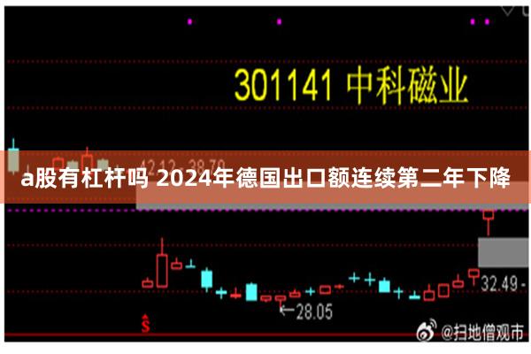 a股有杠杆吗 2024年德国出口额连续第二年下降