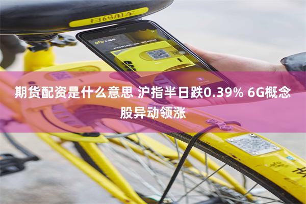 期货配资是什么意思 沪指半日跌0.39% 6G概念股异动领涨