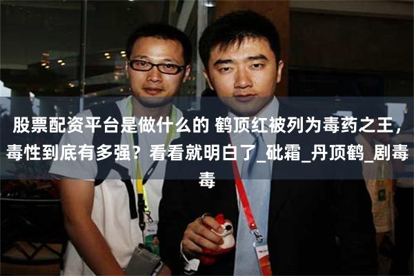 股票配资平台是做什么的 鹤顶红被列为毒药之王，毒性到底有多强？看看就明白了_砒霜_丹顶鹤_剧毒