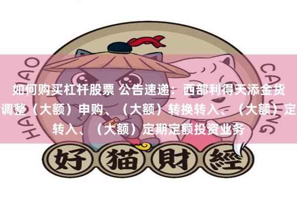 如何购买杠杆股票 公告速递：西部利得天添金货币基金劳动节前调整（大额）申购、（大额）转换转入、（大额）定期定额投资业务