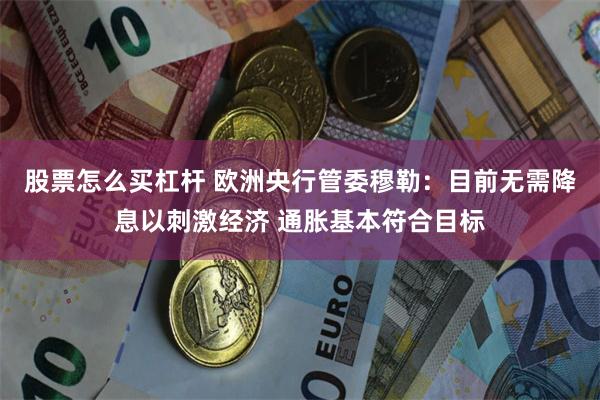 股票怎么买杠杆 欧洲央行管委穆勒：目前无需降息以刺激经济 通胀基本符合目标