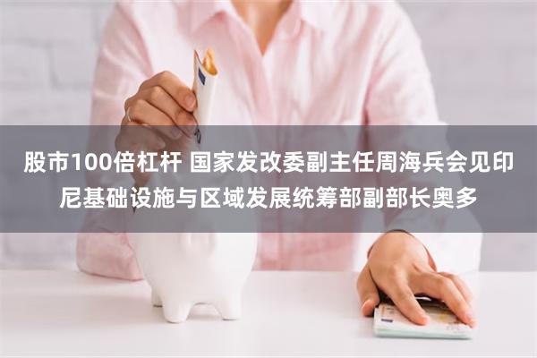 股市100倍杠杆 国家发改委副主任周海兵会见印尼基础设施与区域发展统筹部副部长奥多
