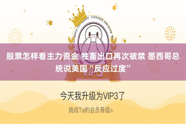 股票怎样看主力资金 牲畜出口再次被禁 墨西哥总统说美国“反应过度”