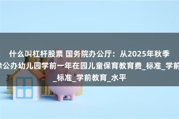 什么叫杠杆股票 国务院办公厅：从2025年秋季学期起免除公办幼儿园学前一年在园儿童保育教育费_标准_学前教育_水平