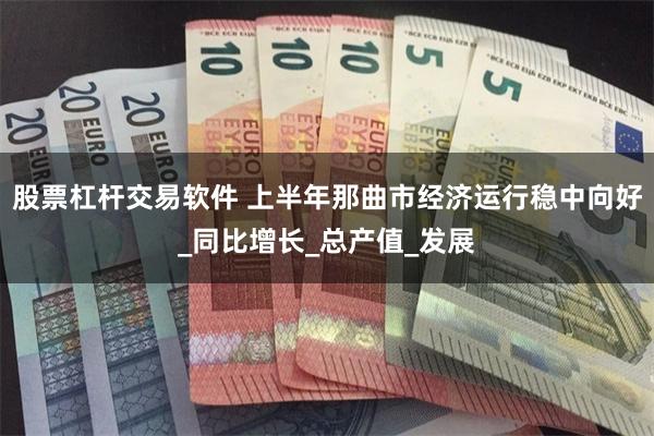 股票杠杆交易软件 上半年那曲市经济运行稳中向好_同比增长_总产值_发展