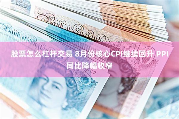 股票怎么杠杆交易 8月份核心CPI继续回升 PPI同比降幅收窄